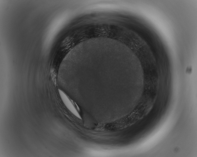 X0000097620766200803281036
