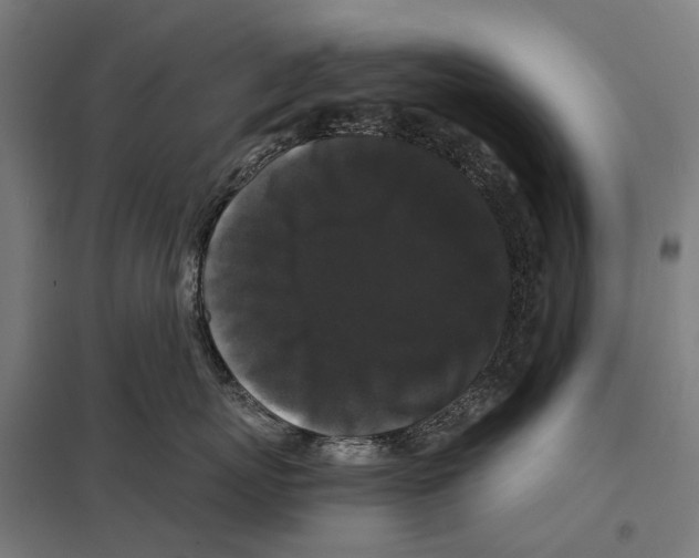 X0000097620767200803281036