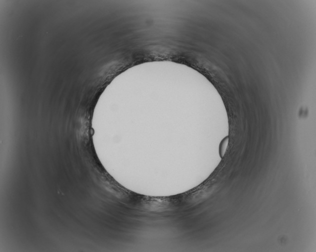 X0000097620768200803281036
