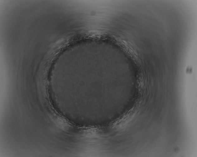 X0000097620769200803281035