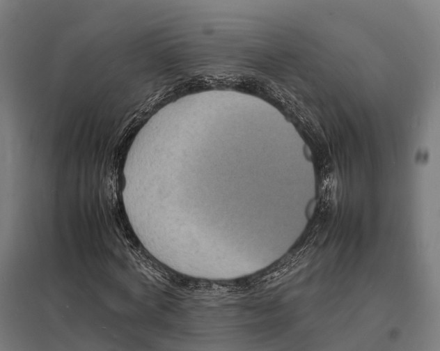 X0000097620772200803281035