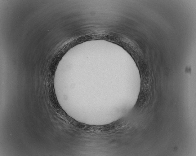 X0000097620773200803281035