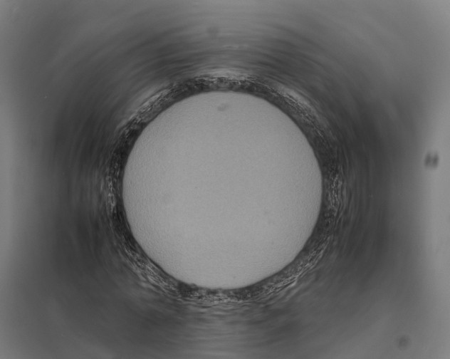 X0000097620774200803281035