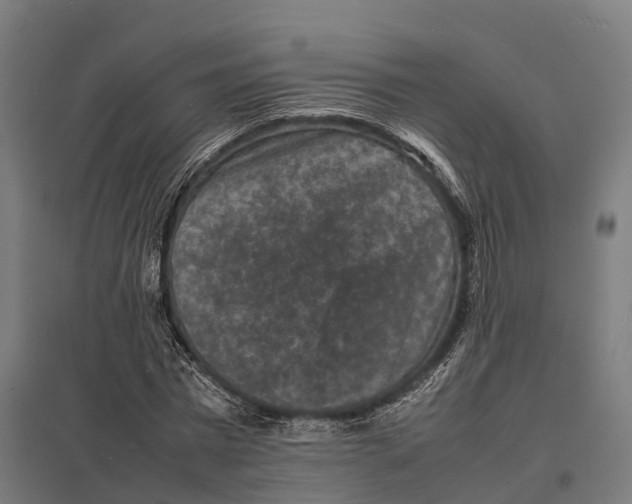 X0000097620777200803281035