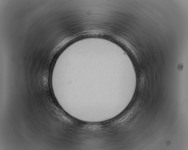 X0000097620778200803281035