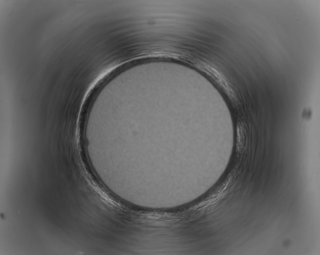 X0000097620780200803281035