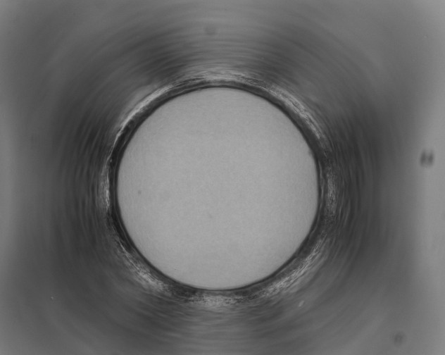 X0000097620782200803281035
