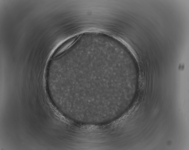 X0000097620783200803281035