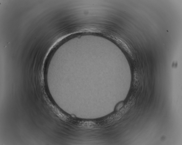 X0000097620784200803281035