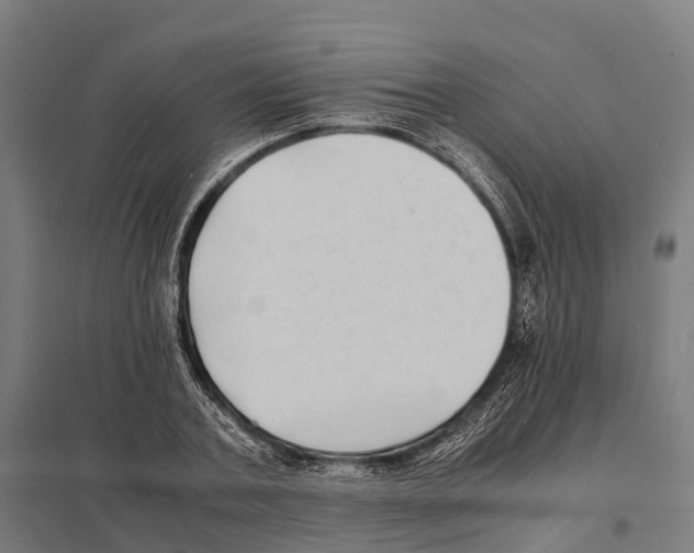 X0000097620787200803281035