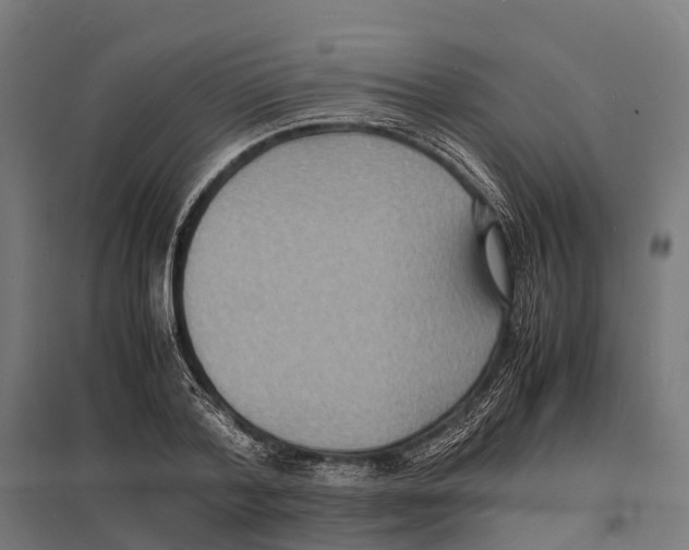 X0000097620788200803281035
