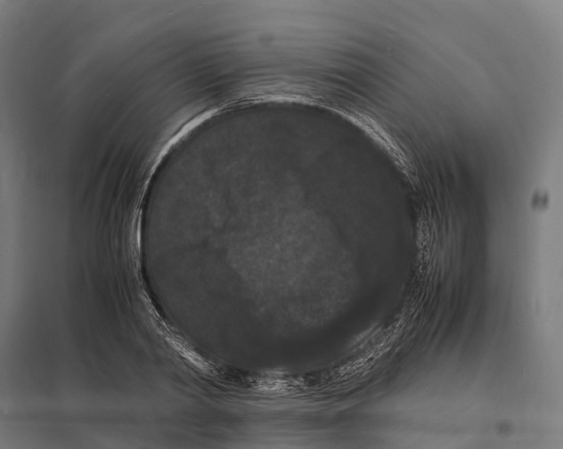 X0000097620790200803281035