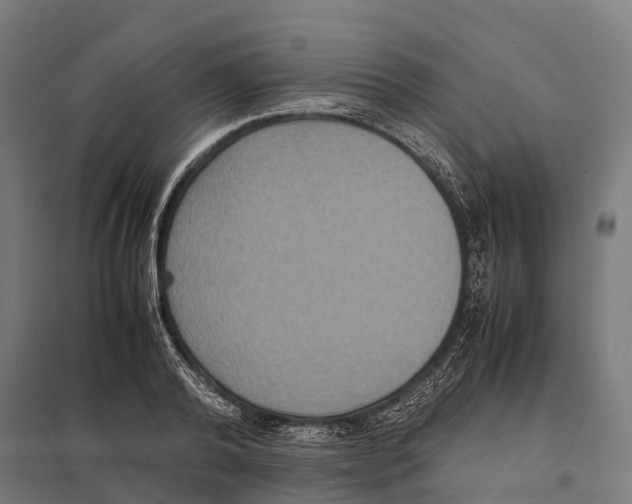 X0000097620792200803281035