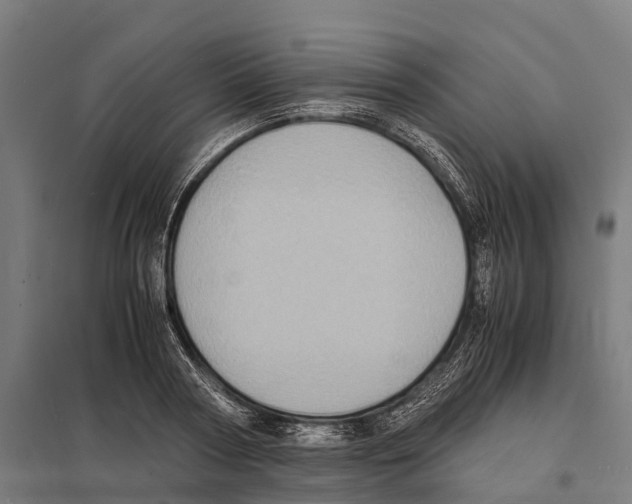 X0000097620794200803281035