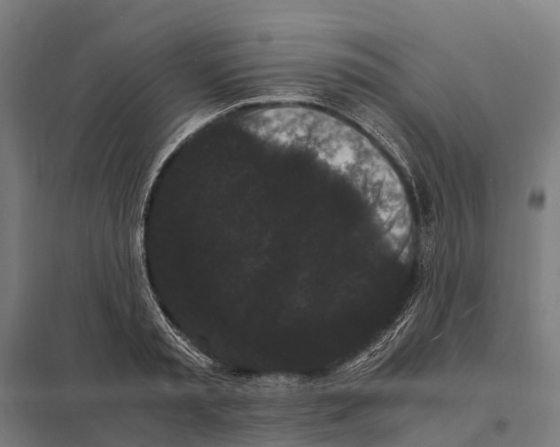 X0000097620797200803281035
