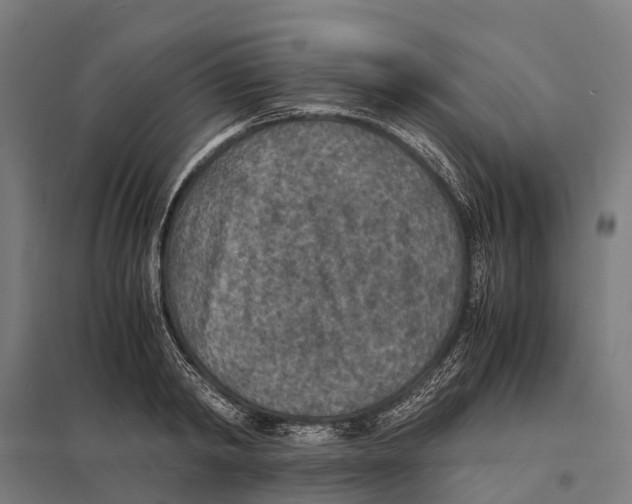 X0000097620798200803281035