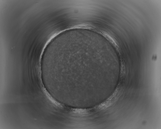 X0000097620800200803281035