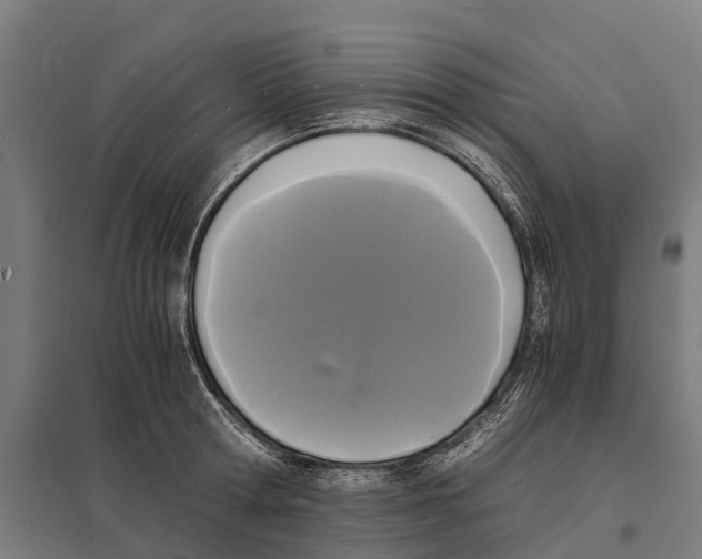 X0000097620802200803281035