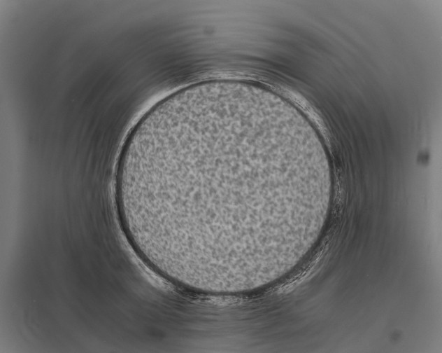 X0000097620803200803281035