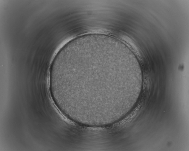 X0000097620804200803281035