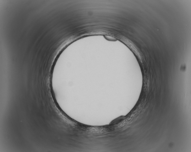 X0000097620805200803281035
