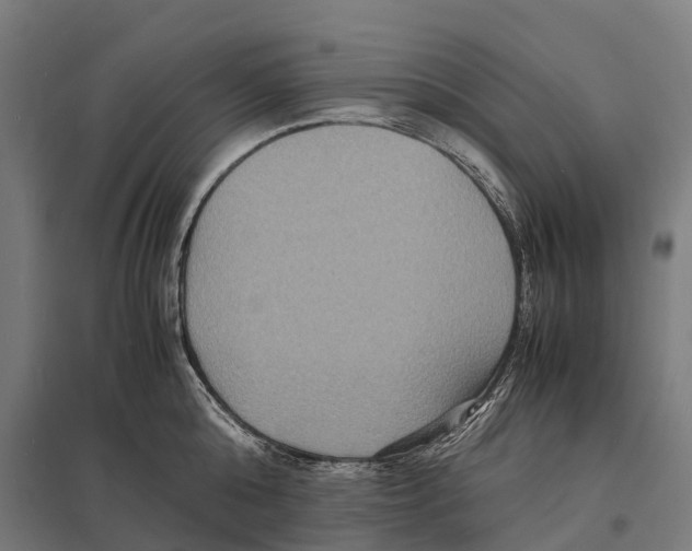 X0000097620808200803281035