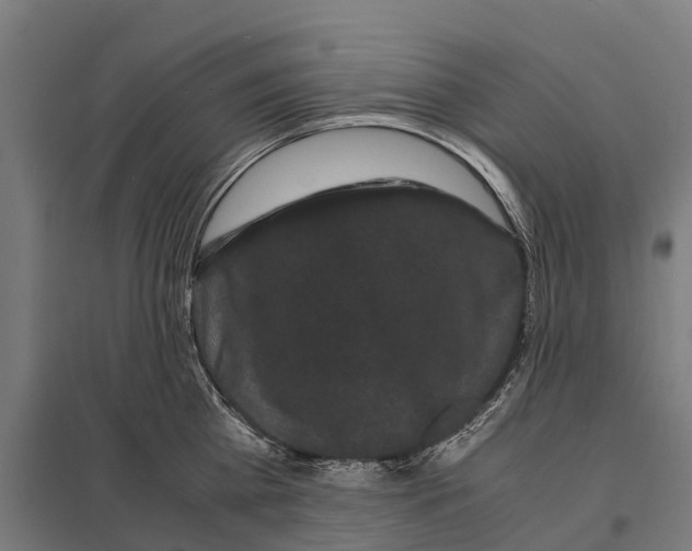 X0000097620809200803281035