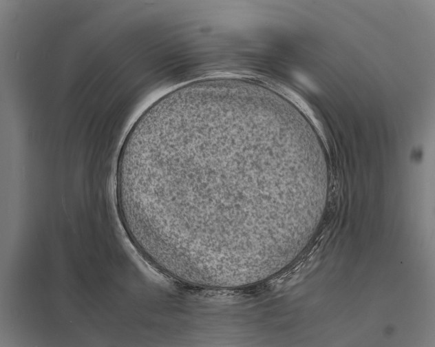 X0000097620811200803281035