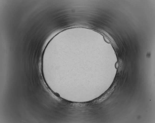 X0000097620812200803281035