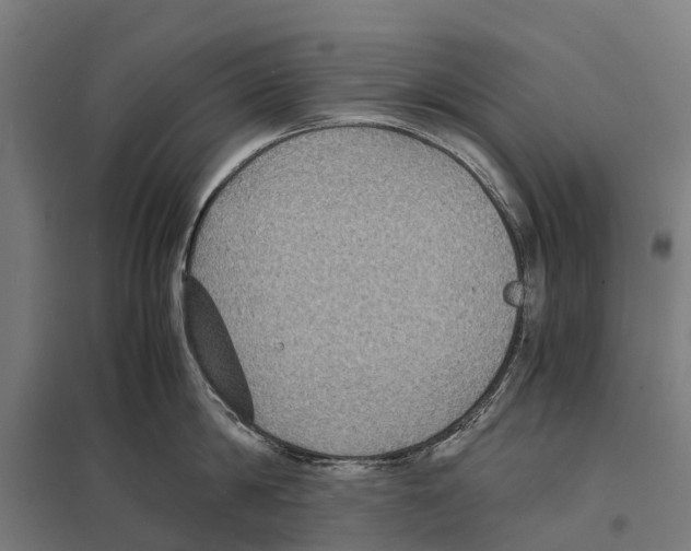 X0000097620814200803281035
