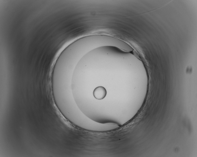 X0000097620816200803281035
