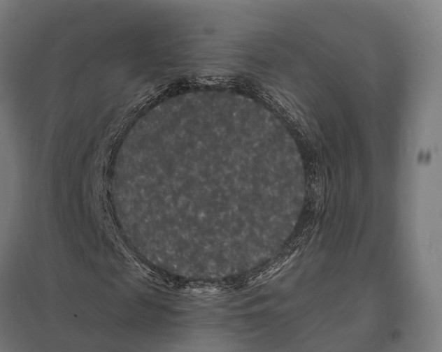 X0000097620817200803281034
