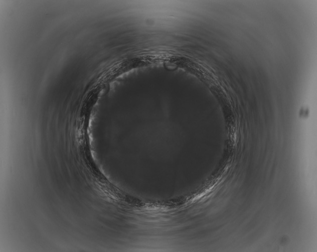 X0000097620818200803281034