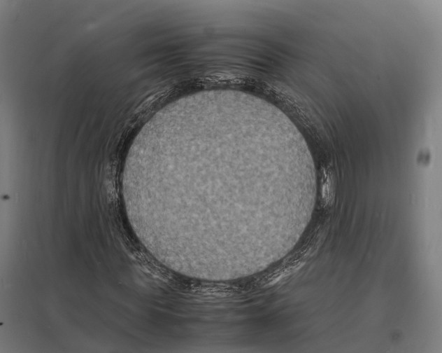 X0000097620819200803281034
