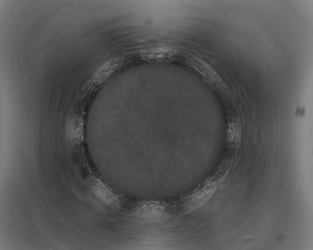 X0000097620820200803281034