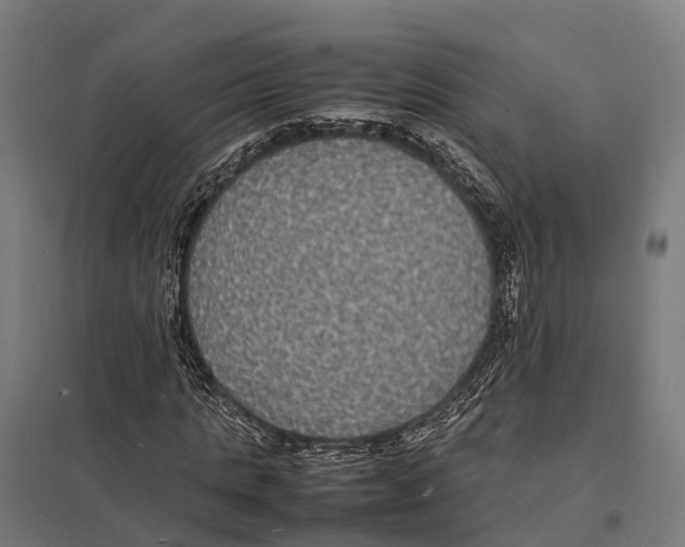 X0000097620821200803281034
