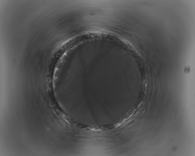 X0000097620822200803281034