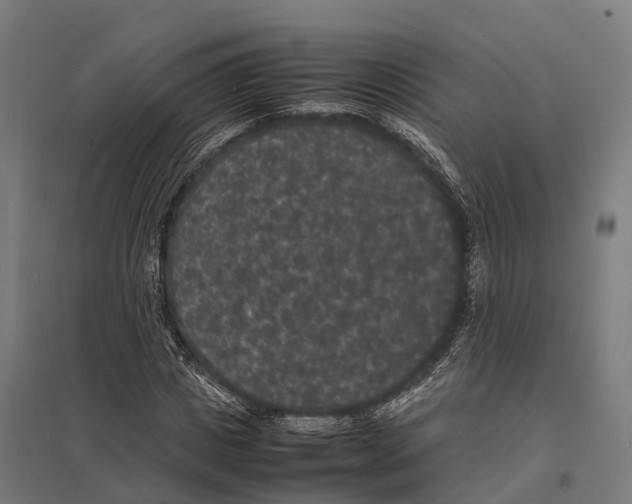 X0000097620825200803281034