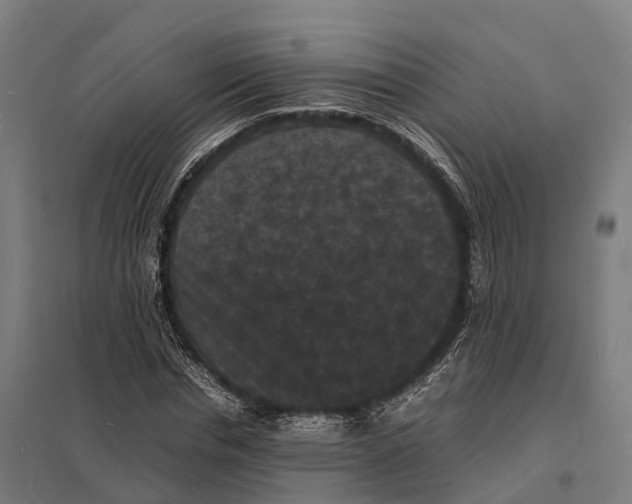 X0000097620826200803281034