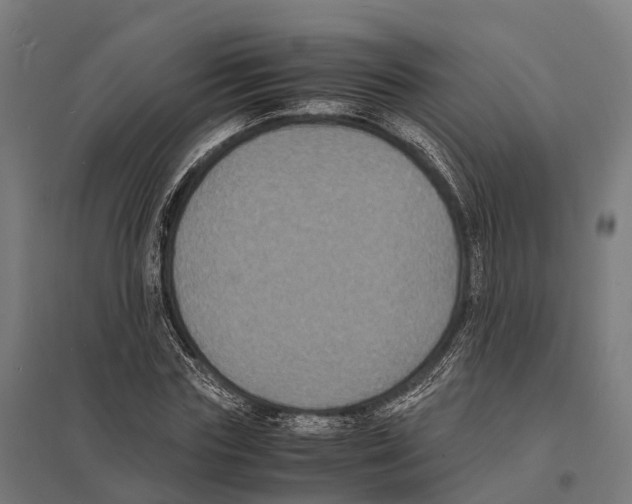 X0000097620827200803281034