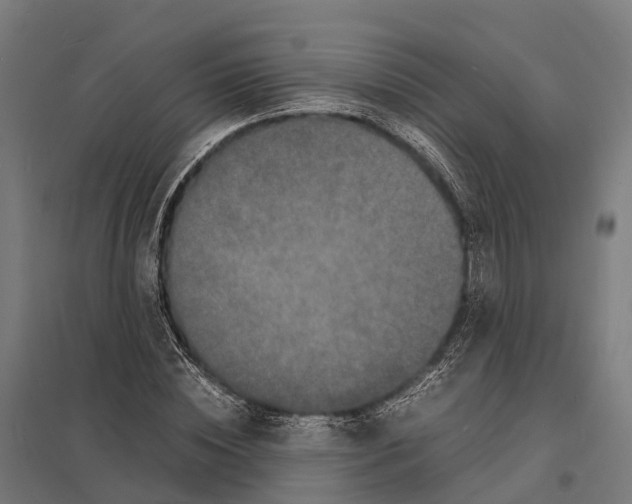 X0000097620828200803281034