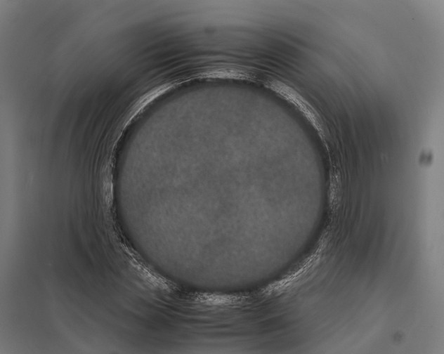 X0000097620829200803281034