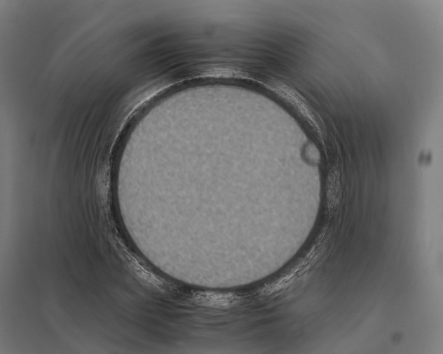 X0000097620831200803281034