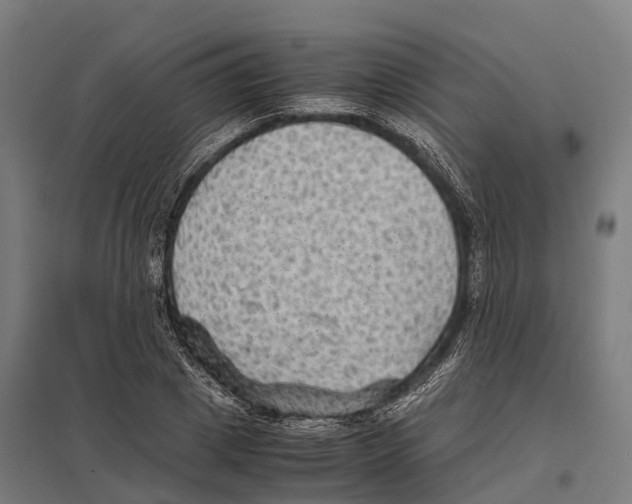 X0000097620833200803281034