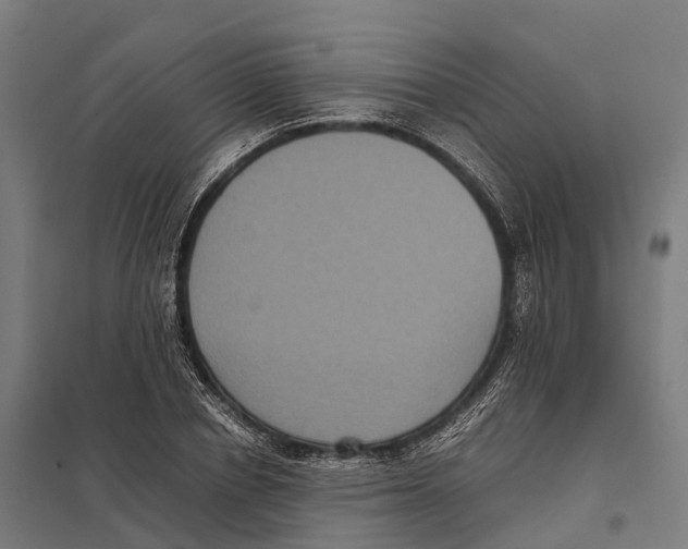 X0000097620834200803281034