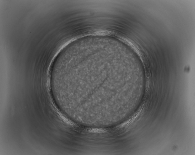 X0000097620835200803281034