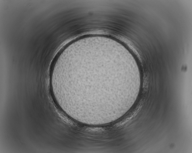 X0000097620837200803281034