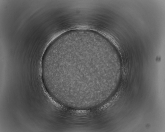 X0000097620839200803281034