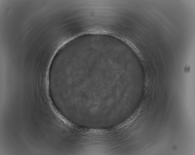 X0000097620840200803281034