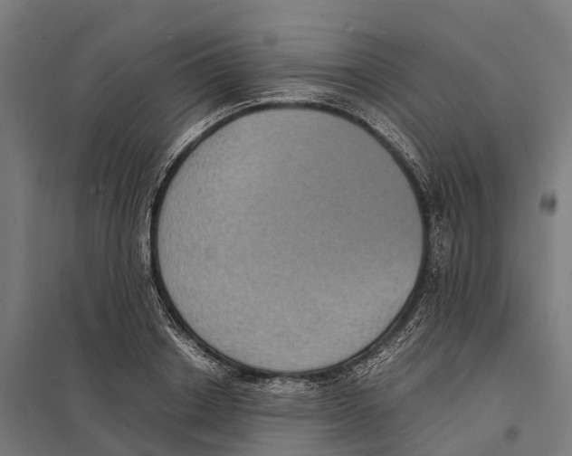X0000097620842200803281034